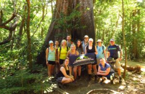 53544504_10157106554228599_6663222656835256320_n