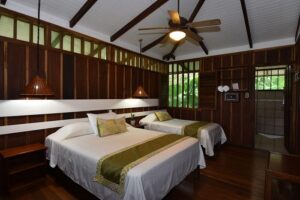 Mawamba Tortuguero 5