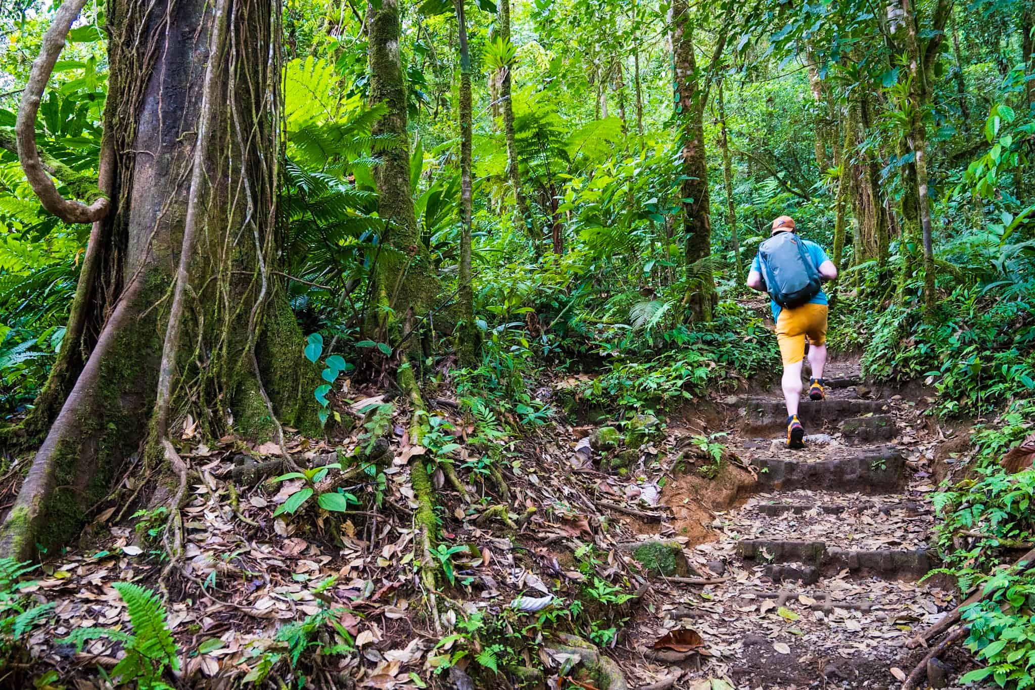 rio celeste hike tenorio volcano national park waterfalls in costa rica 7